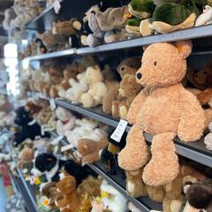 Kuschelige Freunde in allen Größen und Varianten